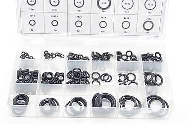 O-RING GUANIZIONI KIT 225X 18 SIZES